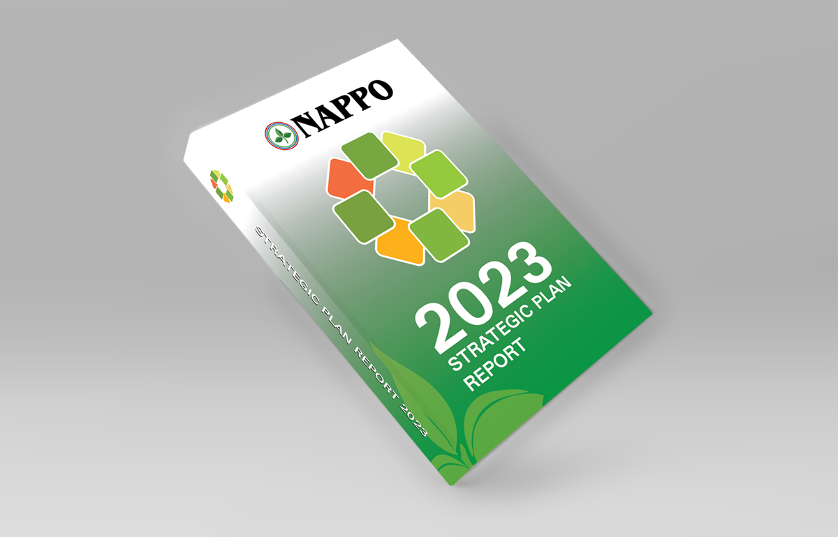 Strategic plan report thumb eng.jpg